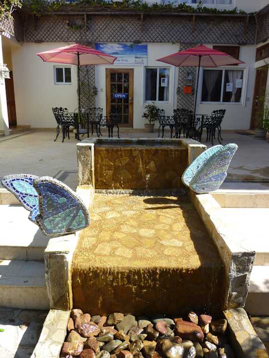 Blick auf die Kaffeebar Hotel Jaguar Reef Lodge