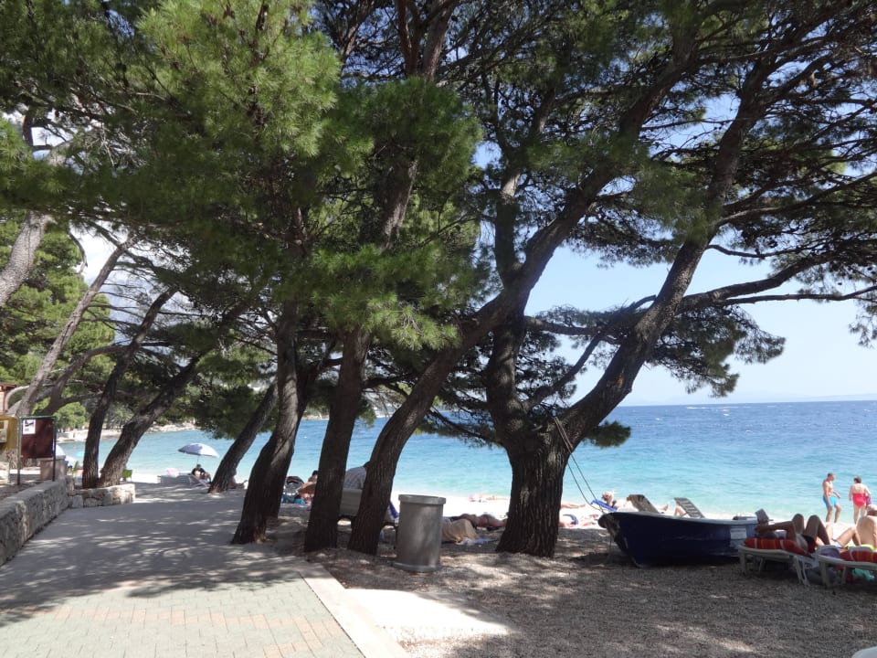 Genug Schatten Bluesun Hotel Soline