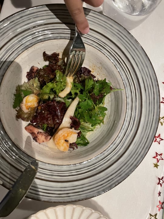 Gastro Acanthus Cennet Barut Collection