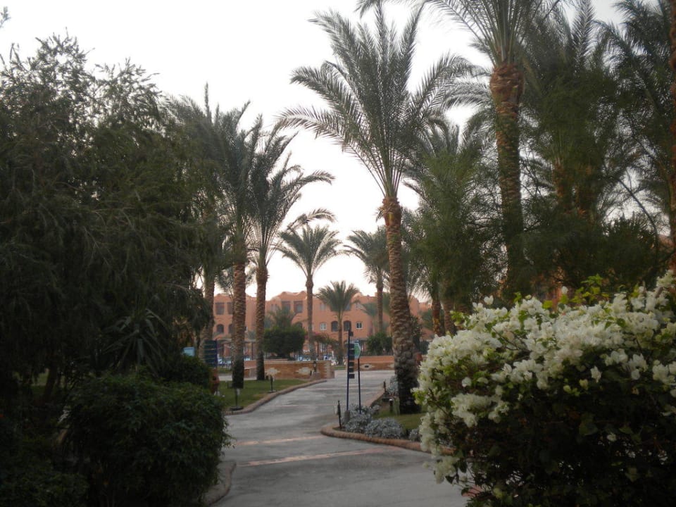 Gartenanlage Jaz Makadi Oasis Resort