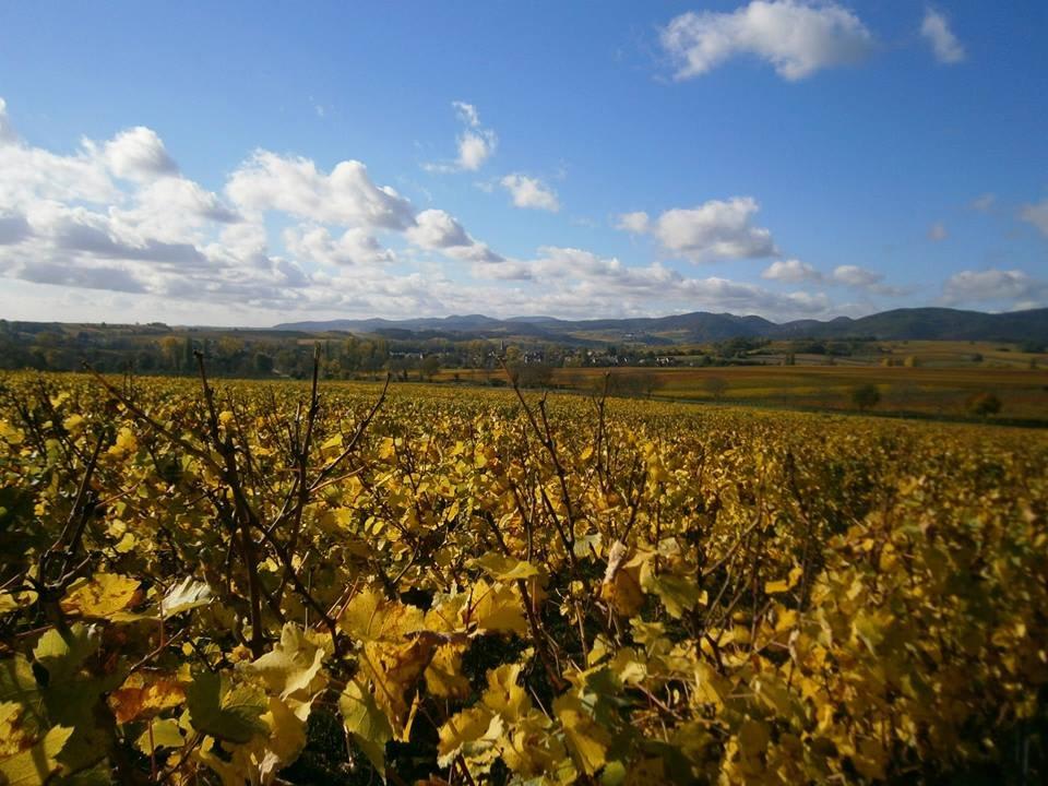 Heuchelheim-Klingen im Herbst Gästehaus Mühlengrund