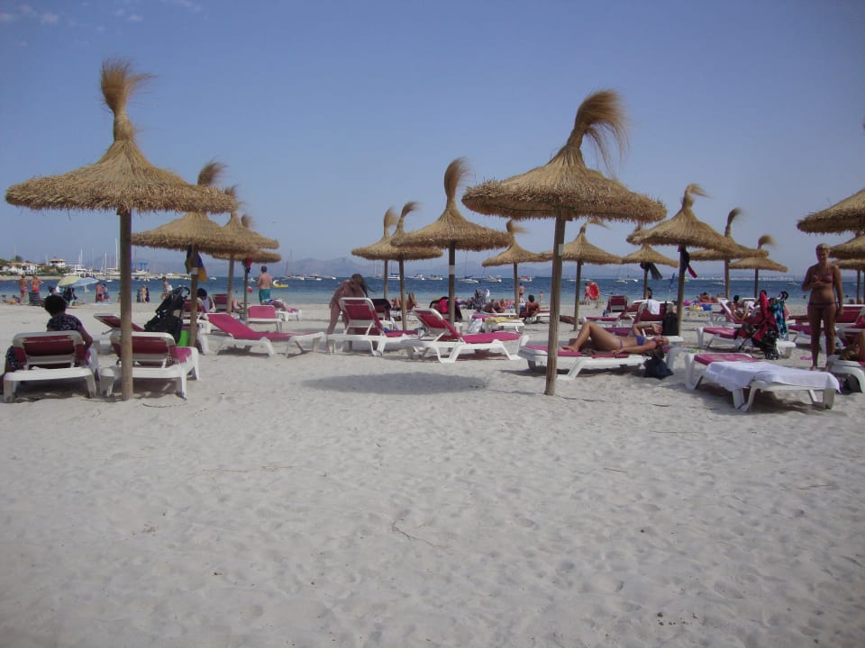 Strand mit Liegen VIVA Golf - Adults only 18+
