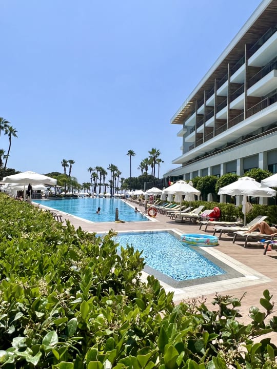 Pool Acanthus Cennet Barut Collection