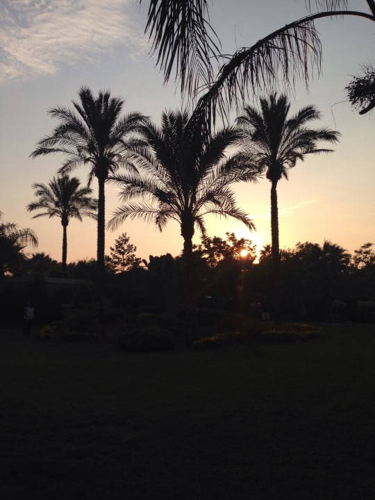 Palmen Sunis Elita Beach Resort & Spa