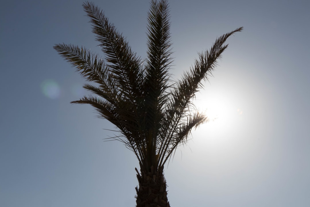 Ausblick Shams Prestige Abu Soma-Adults Only