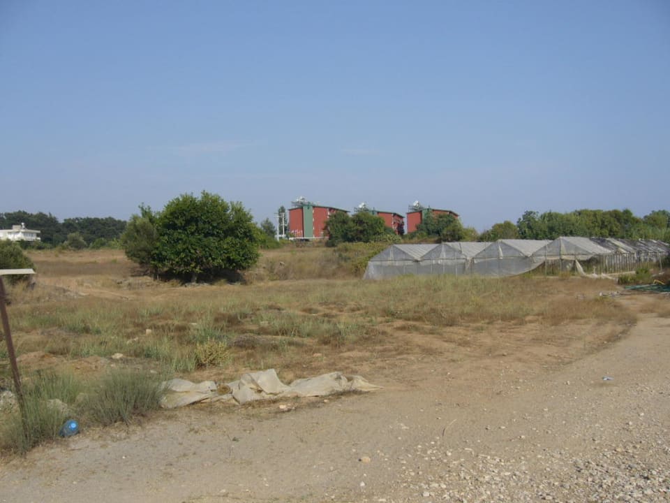 Sun Flipper Hotel Club Life Kizilot