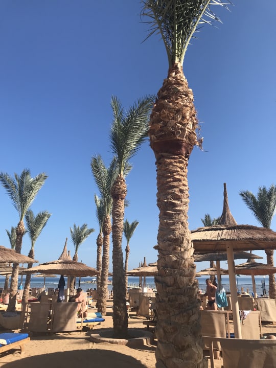 Strand Pickalbatros Palace Resort