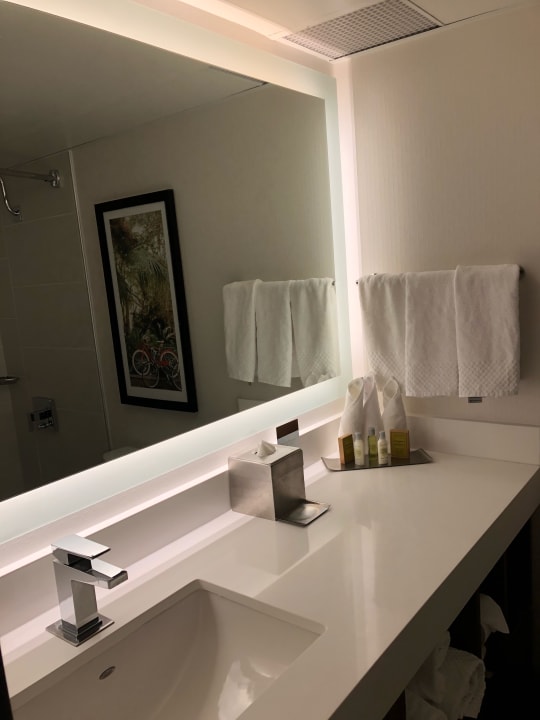 Zimmer DoubleTree by Hilton New Orleans