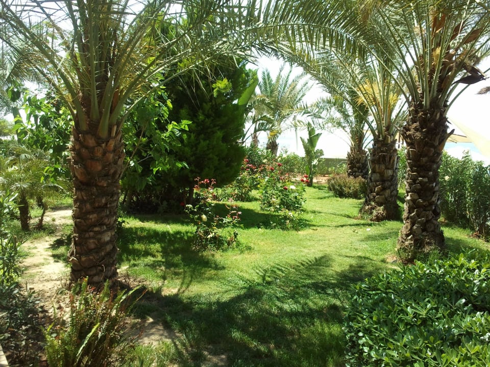 Gartenanlage Granada Luxury Okurcalar