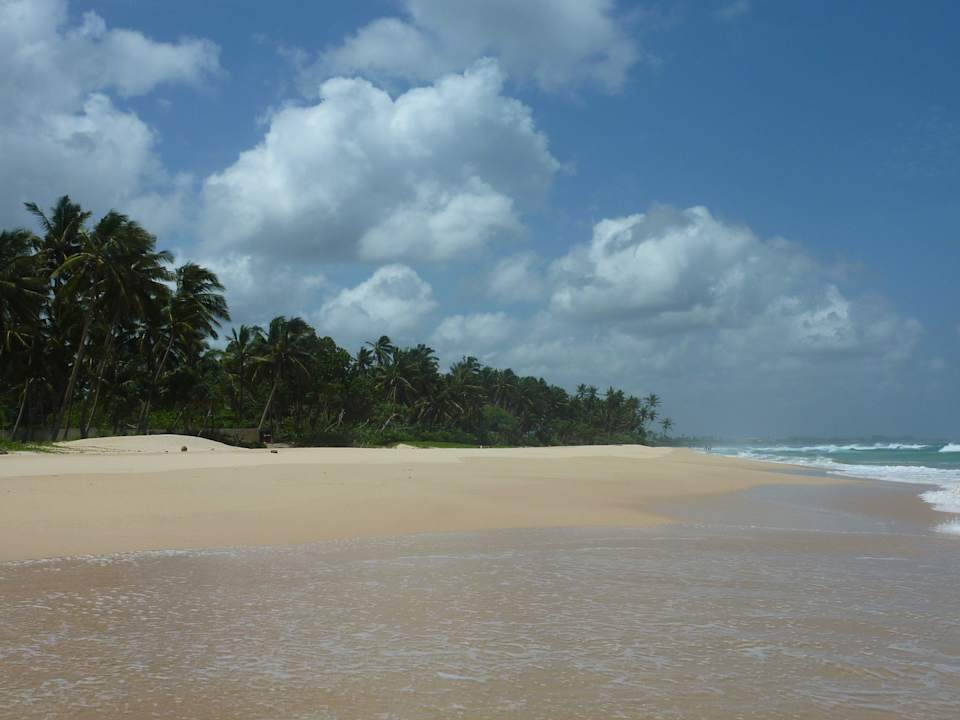 Vorm Hotel links Hotel Haus am Meer Wilde Ananas