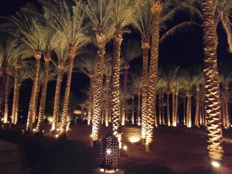 Beleuchtete Palmen an der Promenade Makadi Palace