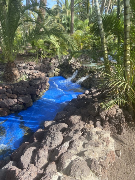 Gartenanlage Hotel Riu Palace Oasis
