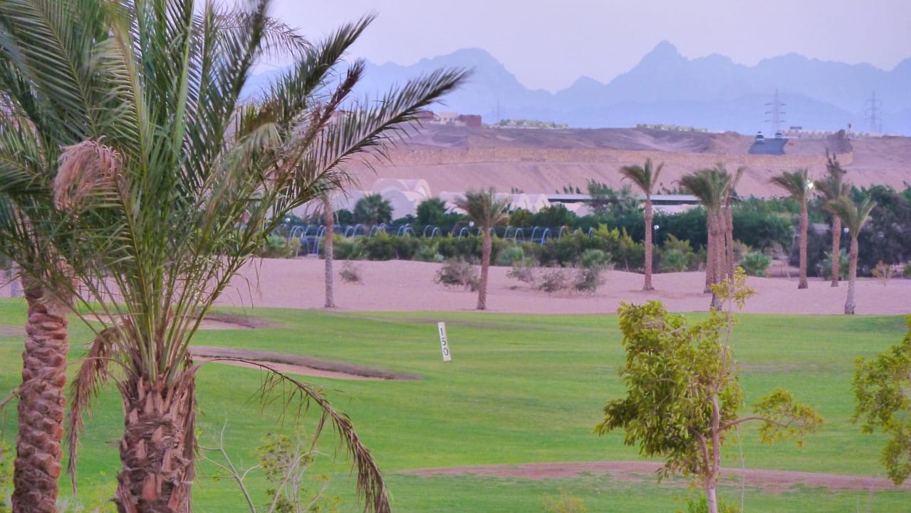 Golfplatz mit (Teil)Wüste und Gebirge JAZ Neo Saraya Palms
