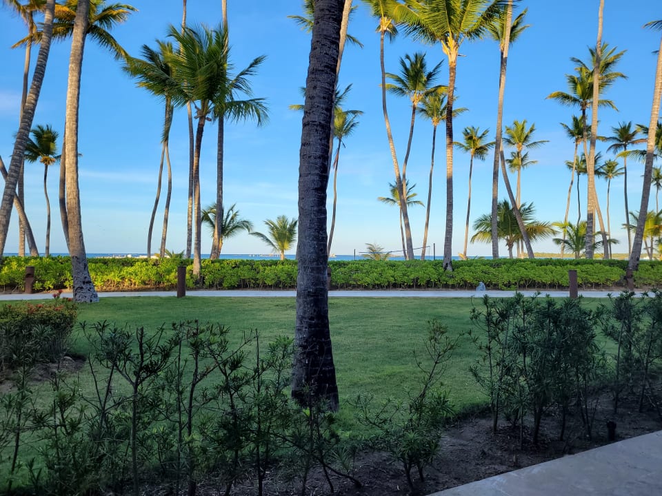 Ausblick Barcelo Bavaro Beach - Adults only