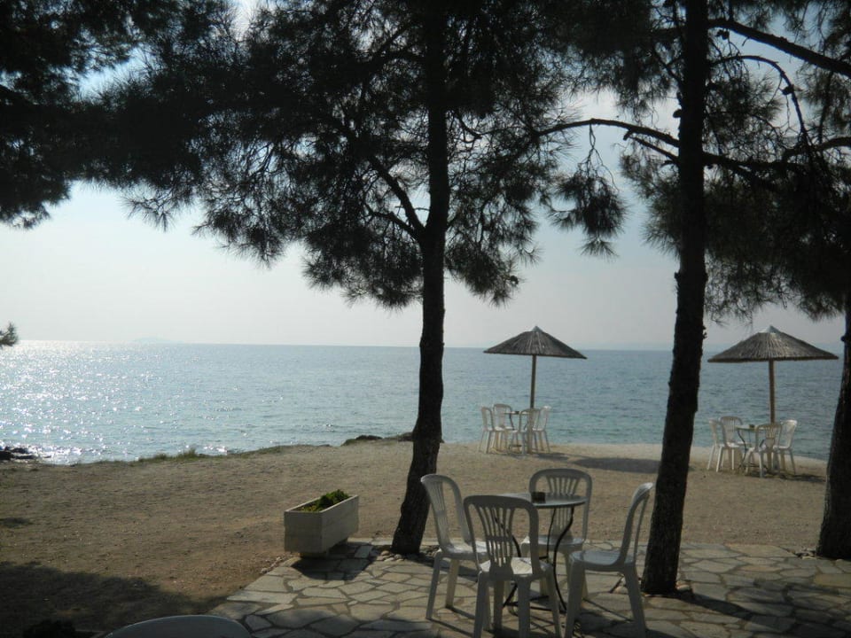 Strand-Terrasse Blue Dolphin Resort Hotel