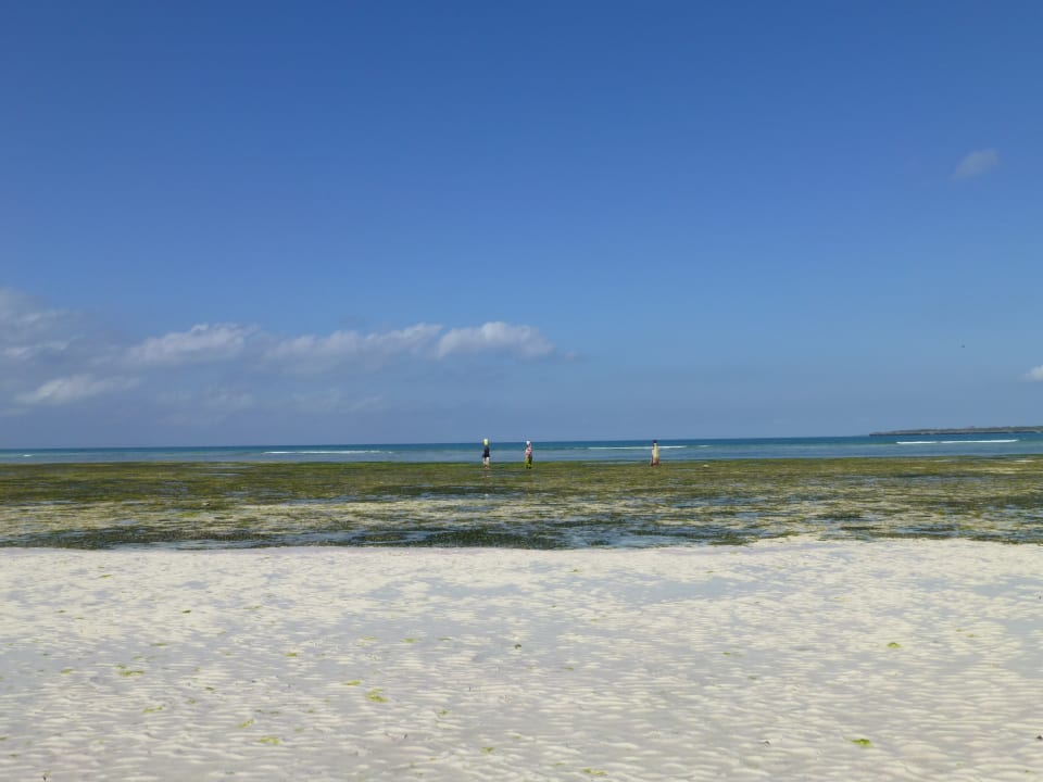 Strand Fruit & Spice Wellness Resort