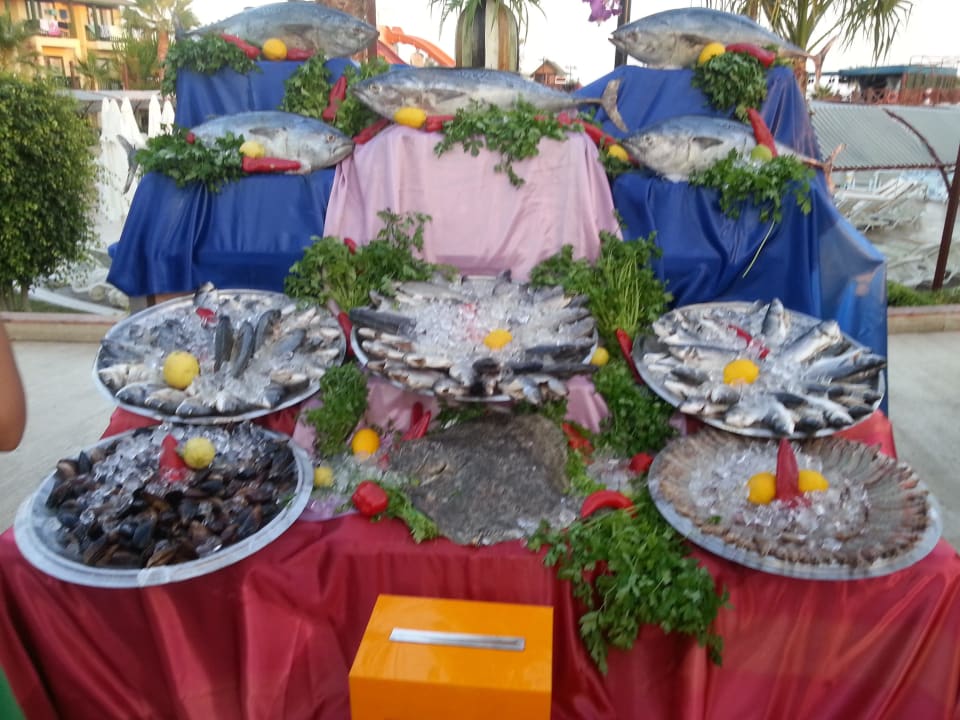 Fisch  Oz Hotels Incekum Beach