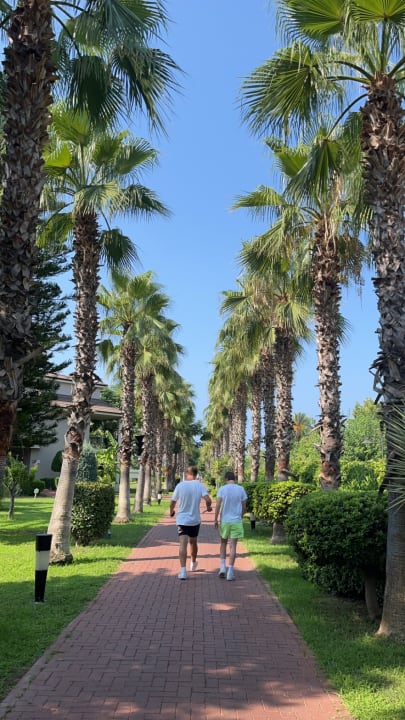 Gartenanlage Sunis Elita Beach Resort & Spa