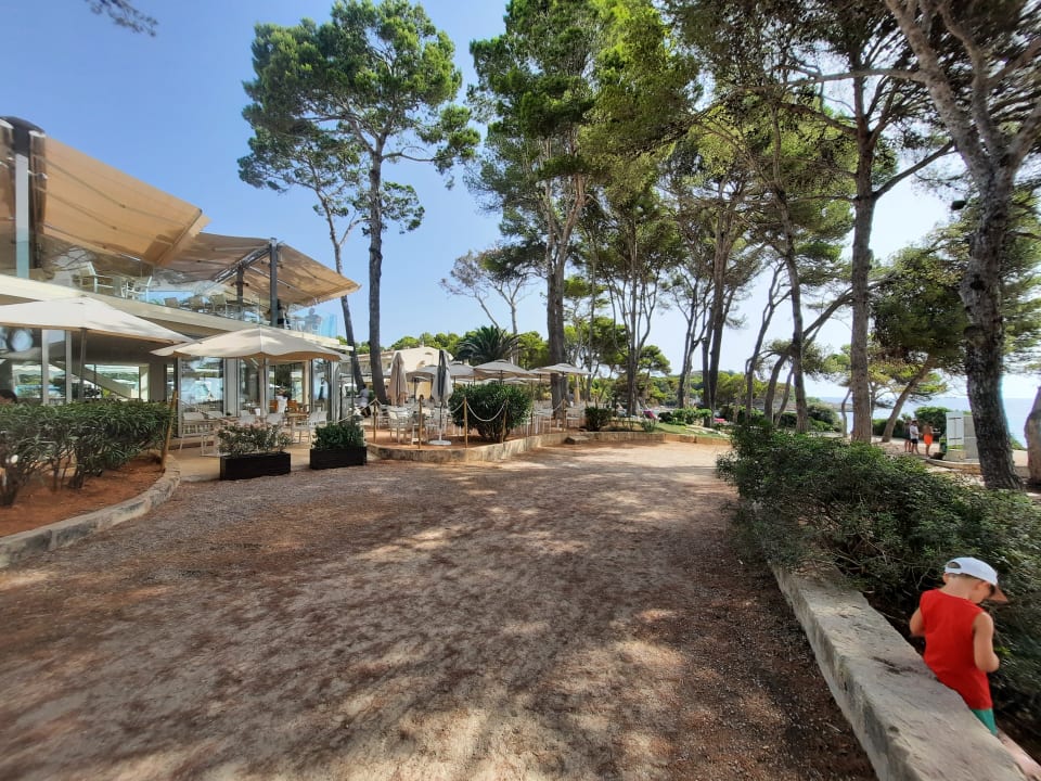 Gartenanlage Iberostar Waves Pinos Park