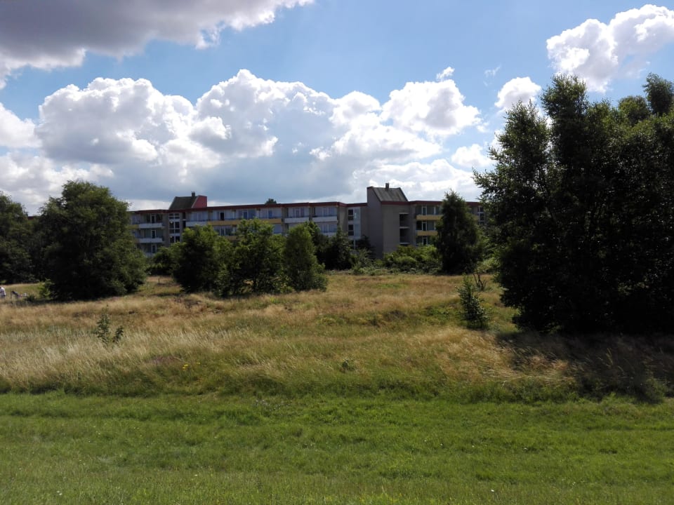 Blick vom Deich Richtung Haus an der Düne Ferienwohnungen Ferienpark Weissenhäuser Strand
