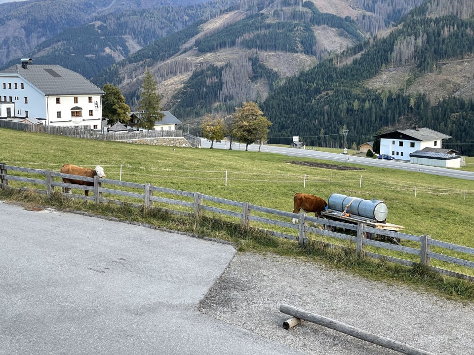 Ausblick Almfamilyhotel Scherer
