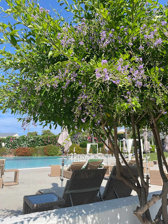 Gartenanlage VOI Marsa Siclà Essentia