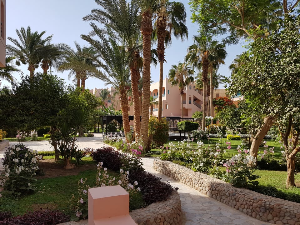 Gartenanlage Hotel Le Pacha Beach Resort