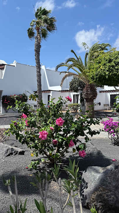 Gartenanlage allsun App.-Hotel Albatros