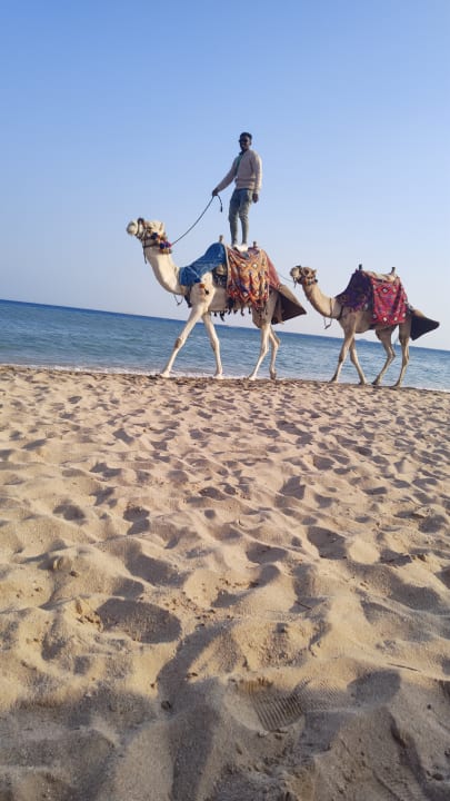 Strand Imperial Shams Abu Soma