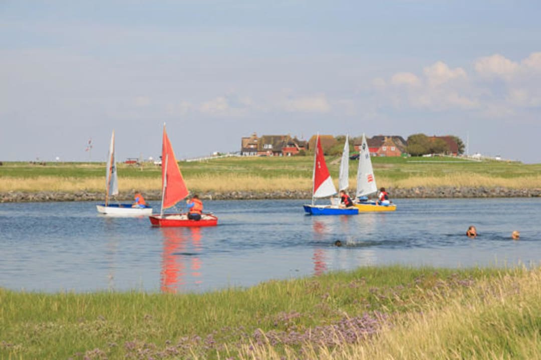 Opti-Regatta an der Hallig-Schleuse Ferienhof Volkertswarft