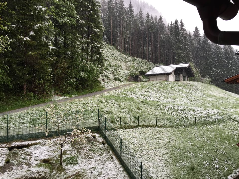 Blick vom Zimmerbalkon Kinderhotel Waldhof