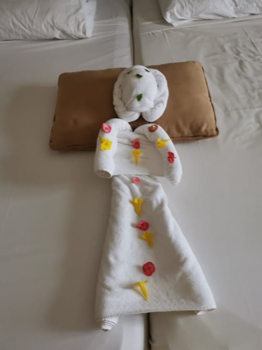 Zimmer Jaz Dar EL Madina