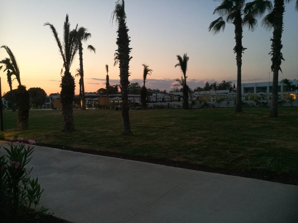 Außenansicht Paloma Finesse