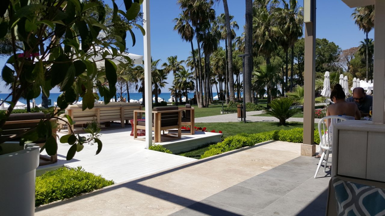 Gastro Acanthus Cennet Barut Collection