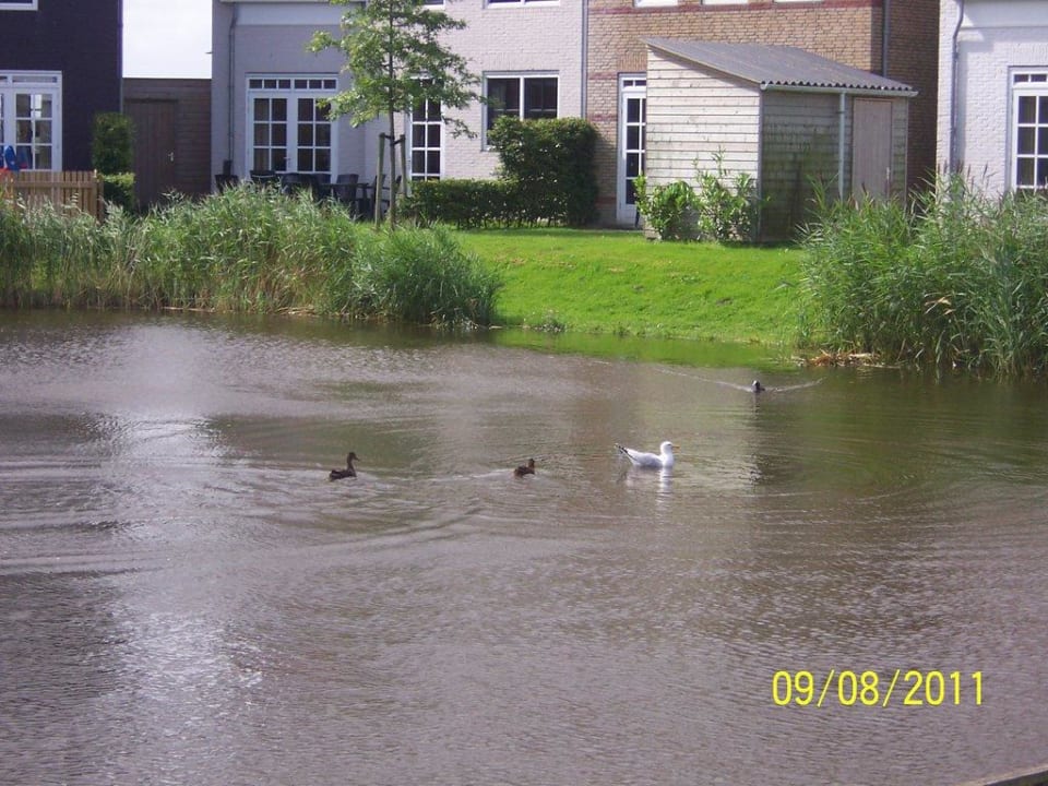 Die Häuser  Ferienpark Landal Esonstad