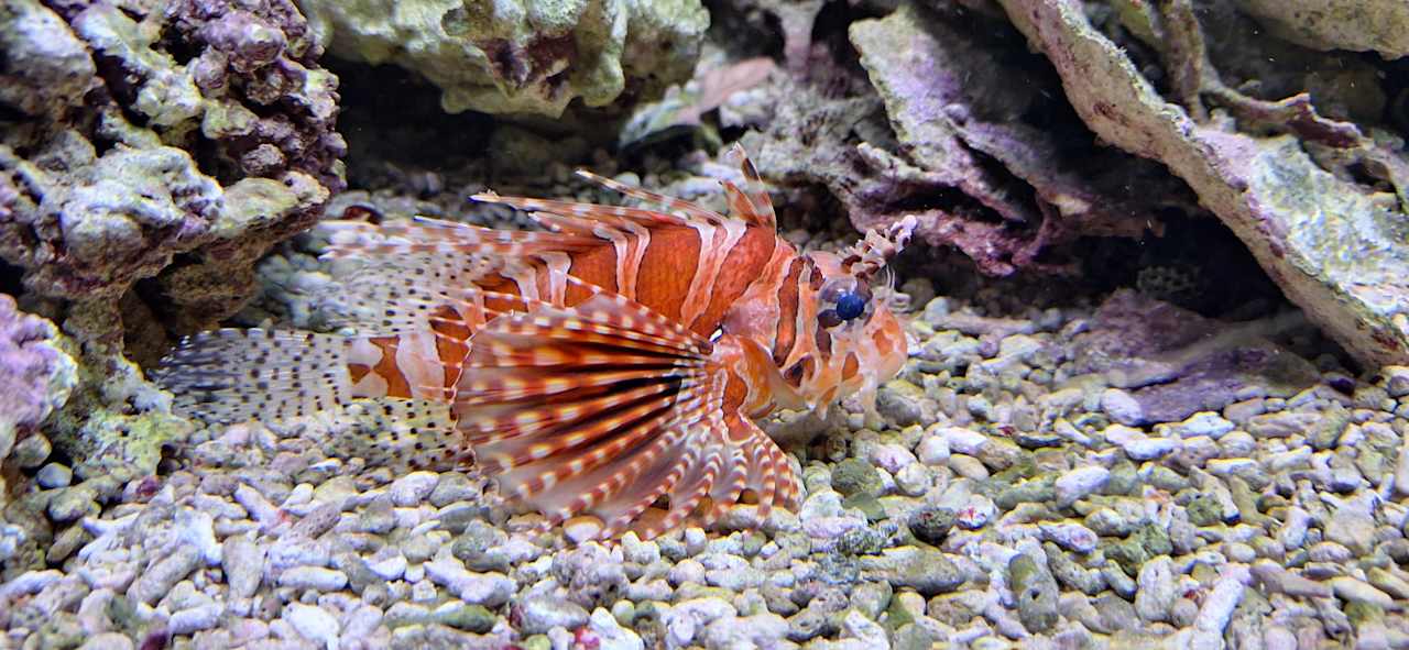 Sport & Freizeit Best Western Ahorn Hotel Oberwiesenthal - Adults only