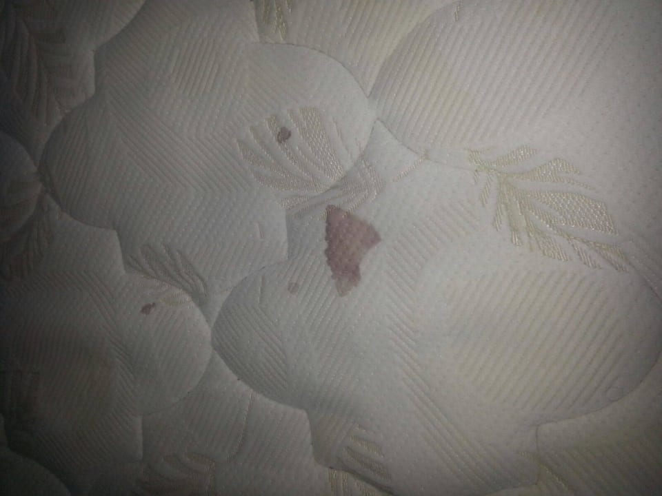 Blut und urin flecken Riverside Garden Resort