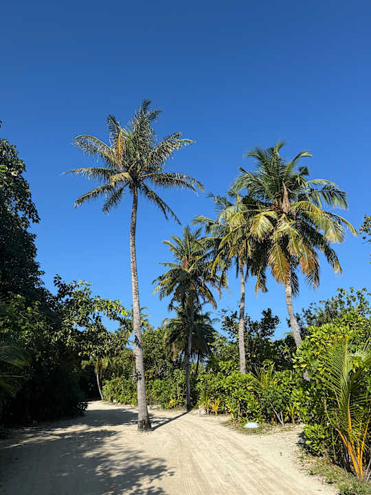 Gartenanlage Kuredu Island Resort & Spa