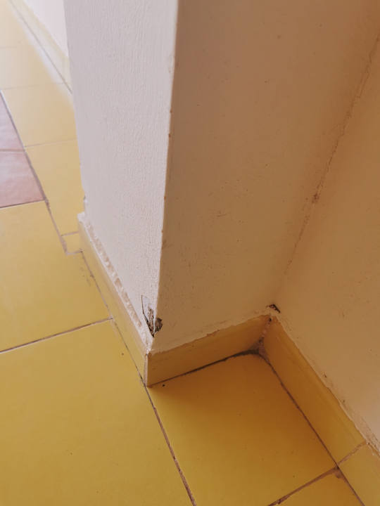 Sonstiges Club Hotel Drago Park