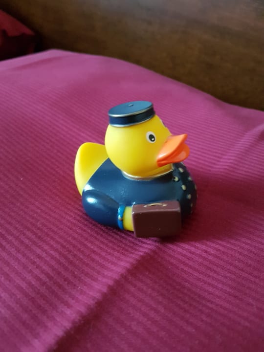 Zimmer Auszeit Hotel Düsseldorf