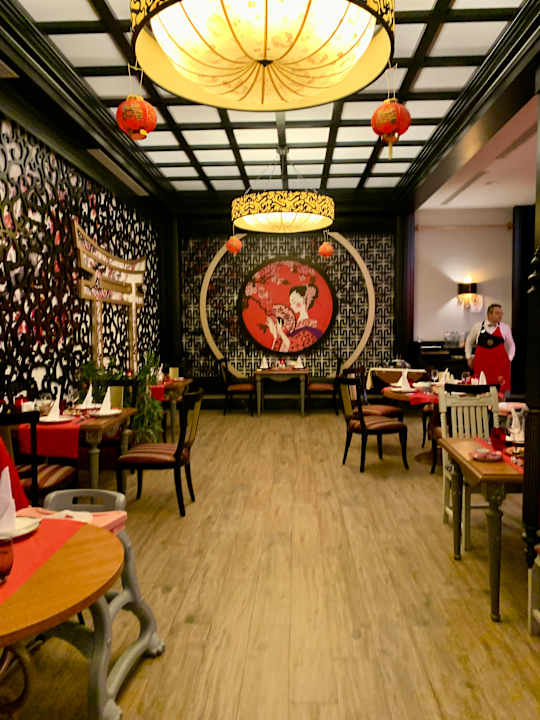 Gastro Adalya Elite Lara