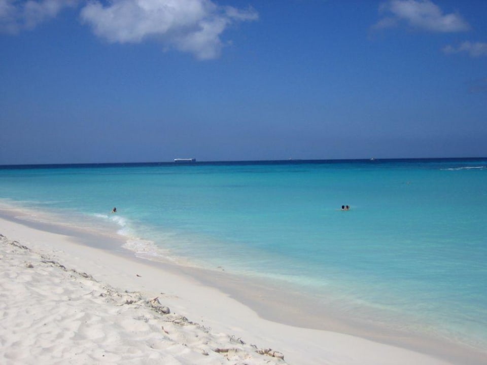 Hotelstrand Bucuti & Tara Beach Resort - Adults only