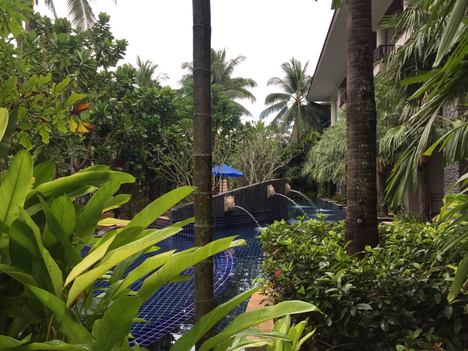 Blick auf Pool-Access Zimmer Graceland Khao Lak Beach Resort