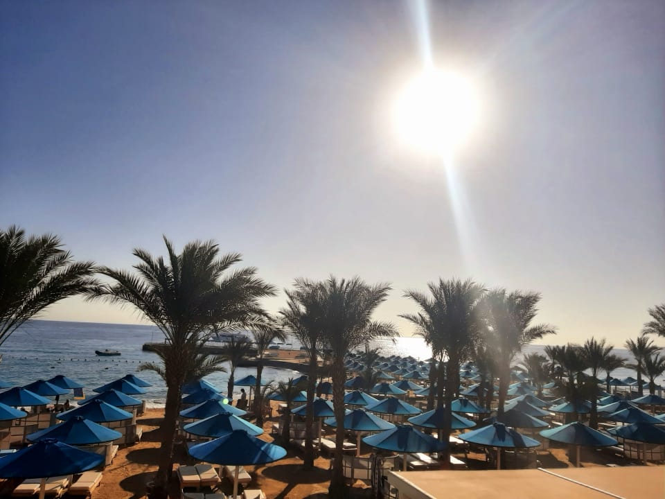 Ausblick Beach Albatros Resort