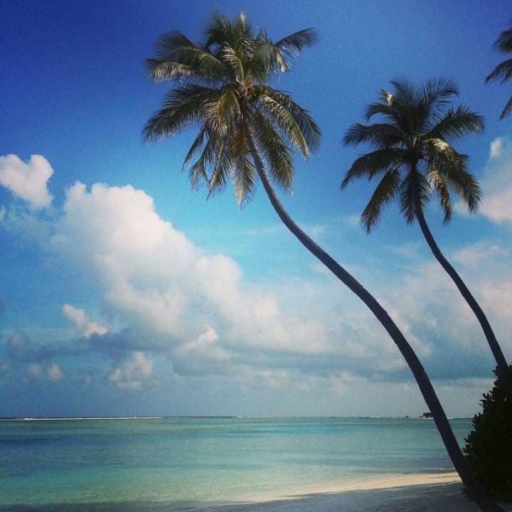 Wie im Bilderbuch!! Meeru Maldives Resort Island