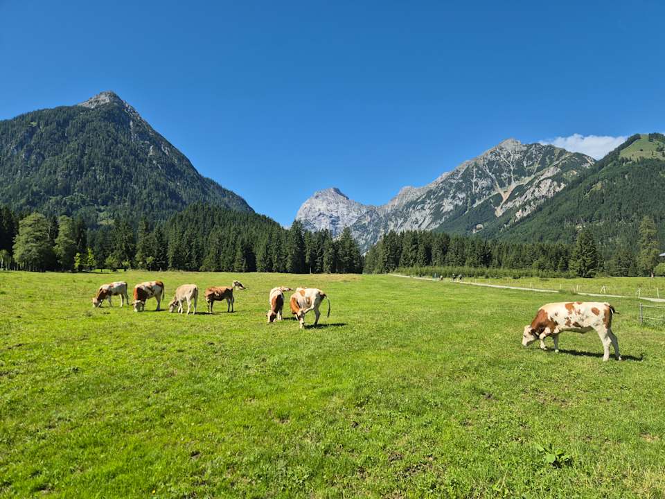 Sonstiges Appartements Alpenland Pertisau