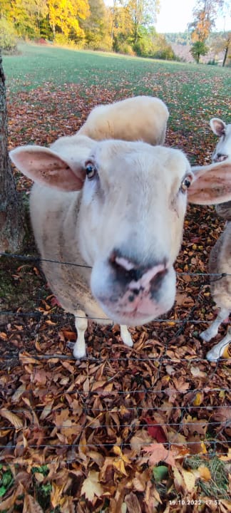 Ausblick Berghotel Hoher Knochen