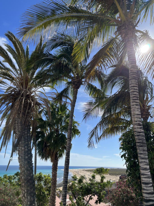 Ausblick Aldiana Club Fuerteventura