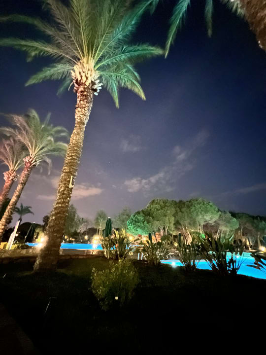 Außenansicht IC Hotels Green Palace