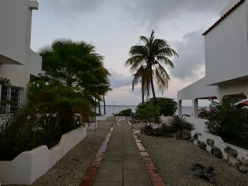 Gartenanlage Hotel Hamlet Oasis Resort